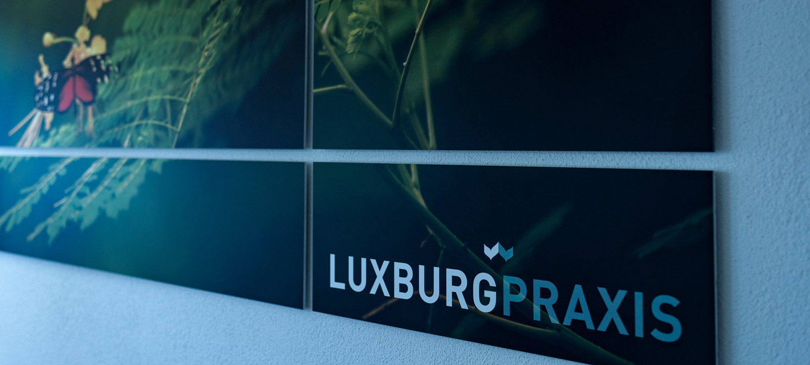 Luxburg Praxis